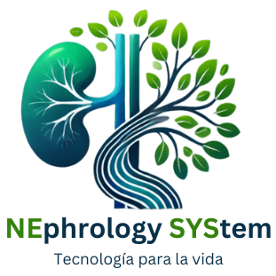 Nesys Logo